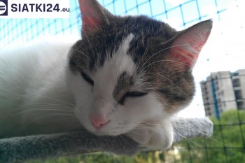 Siatki Radzymin - Siatka na balkony dla kota i zabezpieczenie dzieci dla terenów Radzymina